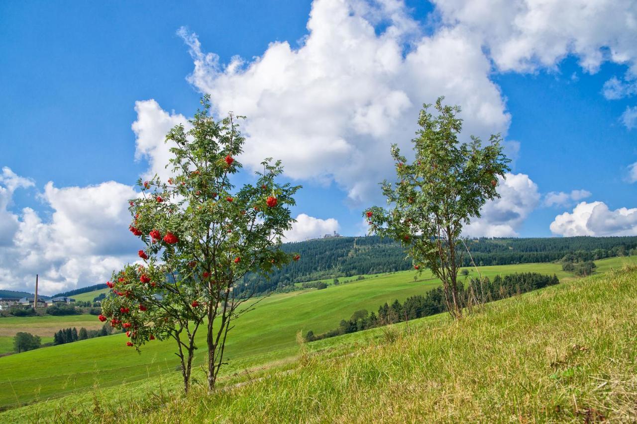 Hotel Am Roten Hammer I Gasthof Und Oberwiesenthal